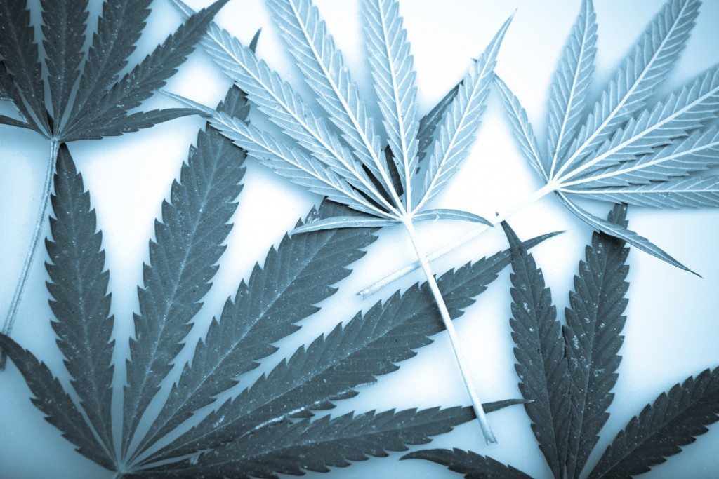 New Rules for Cannabis Excise Tax Payment